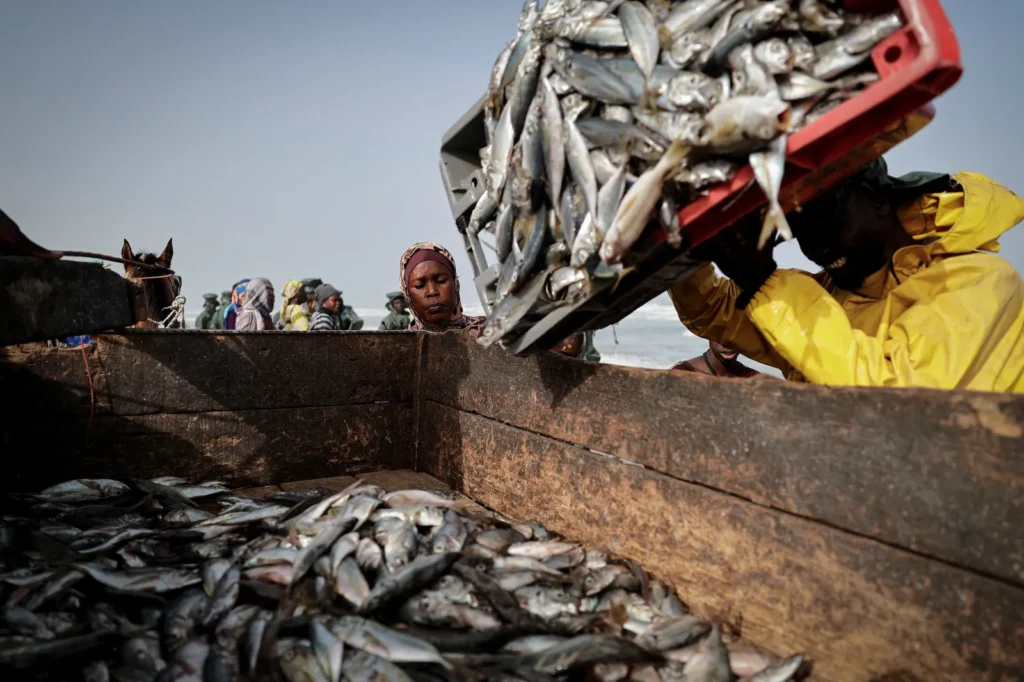 Fish Wars How to Prevent Conflict Over an Increasingly Scarce Resource